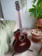 Ibanez EW20WNE acoustic, Ophalen, Gebruikt