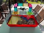 Leuke kleurrijke hamsterkooi, Animaux & Accessoires, Rongeurs & Lapins | Cages & Clapiers, Furet, Enlèvement, Utilisé