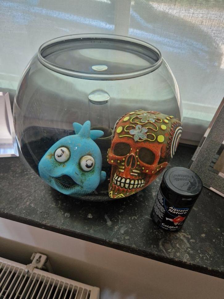 Viskom GRATIS, Dieren en Toebehoren, Vissen | Aquaria en Toebehoren, Zo goed als nieuw, Ophalen