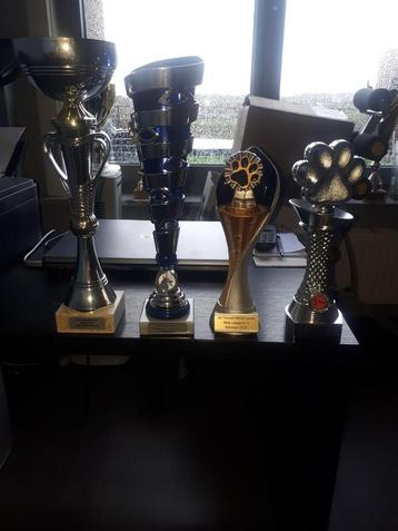 Lot van 4 trofeeën 