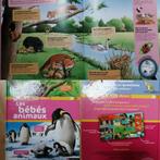 Livre Les bébés animaux collection Nathan, Enlèvement, Comme neuf