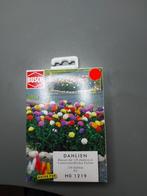 Busch 1219 Dahlias, Ophalen of Verzenden, Nieuw, Brug, Tunnel of Gebouw