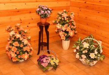 Diverse mooie kunstbloemen - GRATIS beschikbaar voor biedingen
