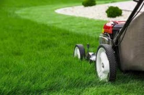 Tuinonderhoud, snoeiwerk ea, Tuin en Terras, Overige Tuin en Terras, Ophalen of Verzenden