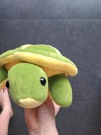 Schildpad, Dieren en Toebehoren, Reptielen en Amfibieën, Schildpad