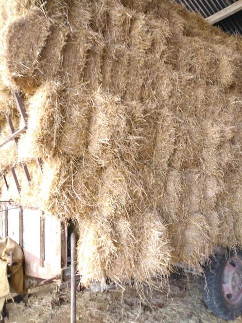 hooi, Dieren en Toebehoren, Paarden en Pony's | Overige Paardenspullen, Nieuw, Overige soorten, Ophalen