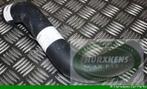Onderste radiateurslang - radiateur naar waterpomp  Jaguar D, Ophalen of Verzenden, Nieuw, Jaguar