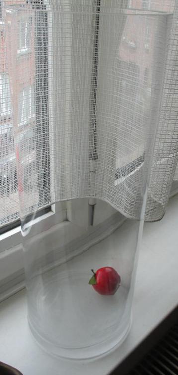 Grote glazen vaas , perfecte staat beschikbaar voor biedingen