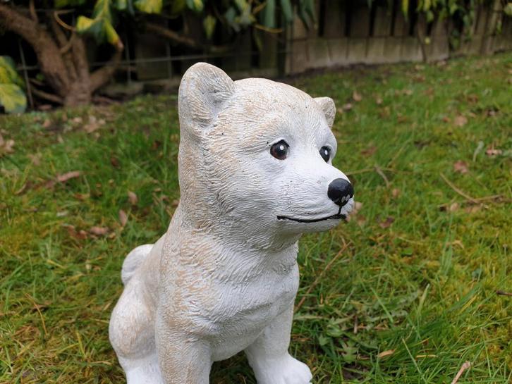 aanbieding , poolhond beton, Verzamelen, Beelden en Beeldjes, Nieuw, Ophalen of Verzenden