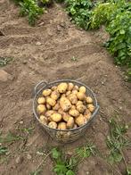 Nieuwe aardappelen te koop, Zakelijke goederen, Ophalen