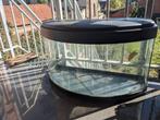 KAPOT Aquarium, nog goed als terrarium., Ophalen, Gebruikt, Terrarium of Paludarium