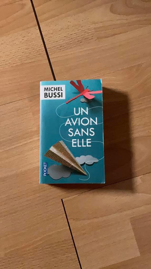 Michel Bussi, un avion sans elle, Livres, Livres Autre, Enlèvement ou Envoi