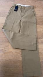 Nouveaux pantalons de Dickies, Vêtements | Hommes, Pantalons, Neuf, Enlèvement ou Envoi, Beige, Dickies