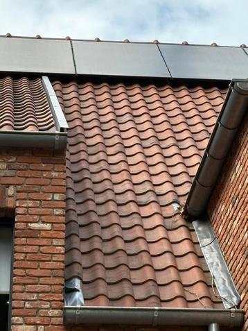 Edilians panne S rood rustiek en zwart beschikbaar voor biedingen