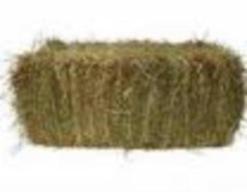 Kleine balen hooi te koop, Zakelijke goederen, Landbouw | Veevoer, Ophalen