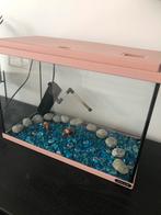 Aquariumpje met binnenfiltertje, Ophalen, Gebruikt