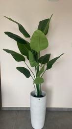 Kunstplant Strelitzia 180cm hoog met natuurlijke uitstraling, Ophalen, Nieuw, Binnen