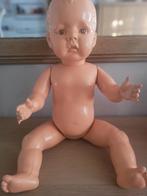 Pop wildebras 54cm, Verzamelen, Poppen, Ophalen, Gebruikt, Pop