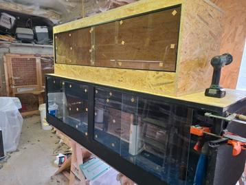 Osb terrariums  beschikbaar voor biedingen