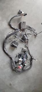 Kabelboom van harley sportster, Motoren, Ophalen