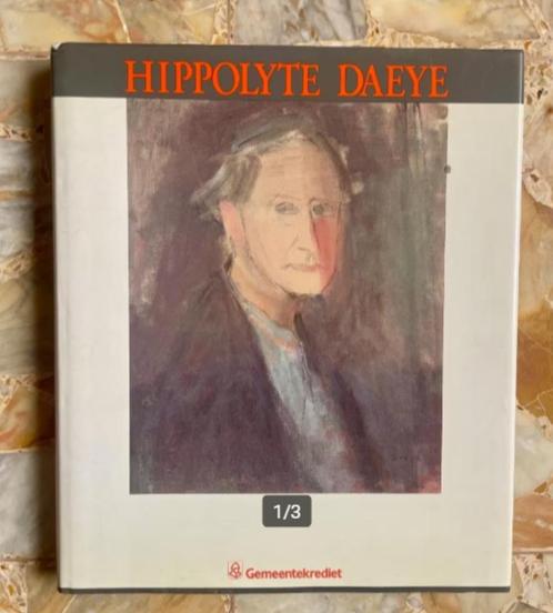 Hyppolyte DAEYE (1873-1952) - Monografie/catalogue raisonné, Boeken, Kunst en Cultuur | Beeldend, Gelezen, Ophalen of Verzenden
