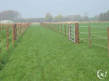 Paardenstalling omgeving stekene  beschikbaar voor biedingen