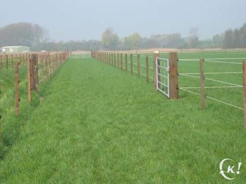 Paardenstalling omgeving stekene, Dieren en Toebehoren, Stalling en Weidegang, Stalling, Weidegang, 1 paard of pony