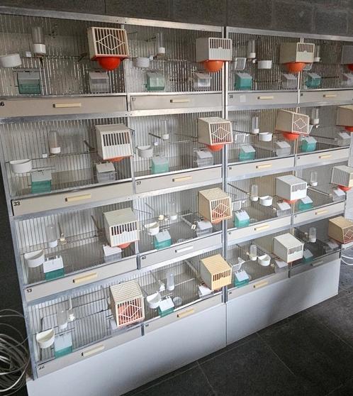 Gehu kooien blok 8 stuks inclusief verlichting en dimmer, Dieren en Toebehoren, Vogels | Hokken en Kooien, Ophalen