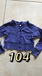 Gilet bolero truitje maat 104, Kinderen en Baby's, Ophalen, Meisje, Trui of Vest, Zo goed als nieuw