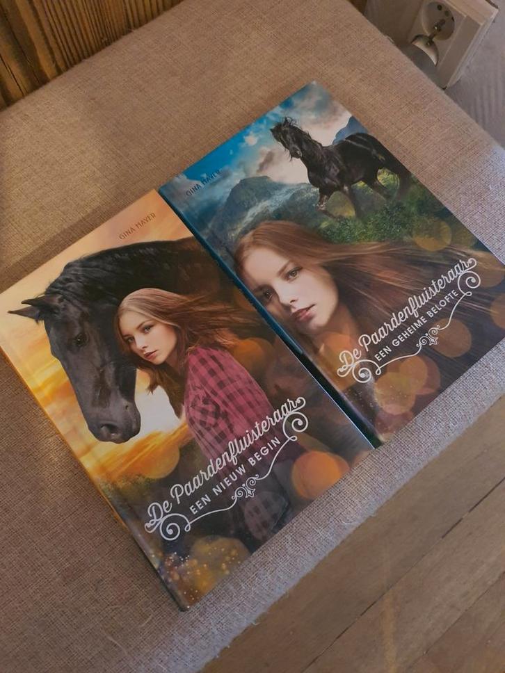 Gina Mayer - Een geheime belofte, Boeken, Kinderboeken | Jeugd | 10 tot 12 jaar, Zo goed als nieuw, Ophalen of Verzenden