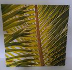 Canvas 45 cm op 45 cm, Ophalen, Minder dan 50 cm, Minder dan 50 cm, Print