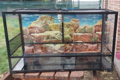 Lot kit terrarium, Dieren en Toebehoren, Reptielen en Amfibieën | Toebehoren, Gebruikt, Terrarium of Paludarium, Ophalen