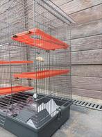 Hamsterkooi groot, Dieren en Toebehoren, Knaagdieren en Konijnen | Hokken en Kooien, Ophalen, Gebruikt