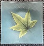 6 vierkante borden met blad in glas 30 x 30 cm, Huis en Inrichting, Keuken | Servies, Ophalen, Glas, Bord(en)
