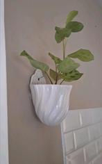 Vintage bloempot wand, Antiek en Kunst, Antiek | Vazen, Ophalen of Verzenden