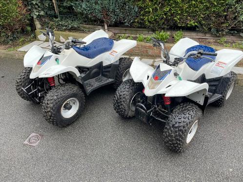 Quad Suzuki, Motoren, Quads en Trikes, Ophalen