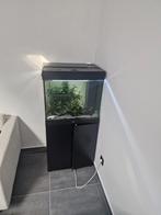 Aquarium juwel 120 met alle toebehoren, Ophalen, Zo goed als nieuw
