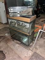 3 aquariums tekoop, Dieren en Toebehoren, Ophalen