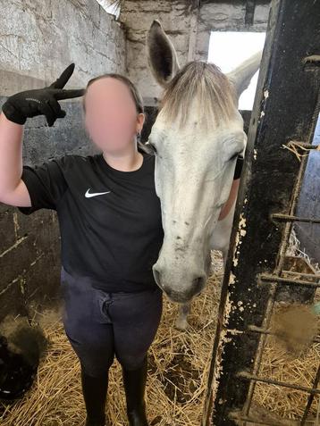 verzorg pony/shet gezocht! beschikbaar voor biedingen