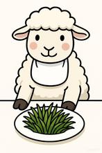 Gezocht weiland / grasland voor schapen, Dieren en Toebehoren