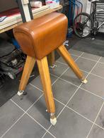 Sportbok in zeer mooie staat, Sport en Fitness, Turnen, Ophalen, Zo goed als nieuw