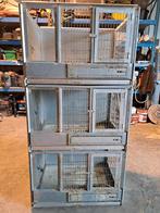 Cage d élevage à perroquet, Cage d'élevage, Enlèvement, Utilisé