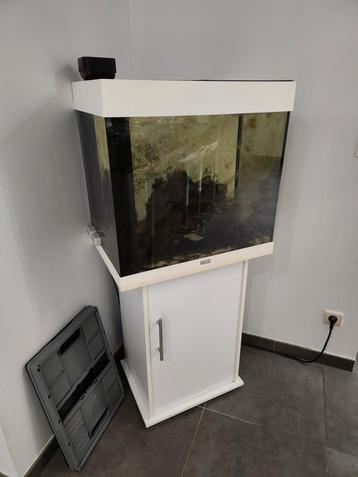 Juwel aquarium 120l met eiwitafsch met 2 nemo vissen, Enlèvement ou Envoi, Comme neuf