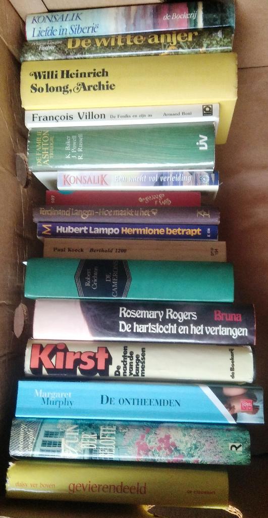 Lot Romans (44 boeken), Livres, Romans, Enlèvement