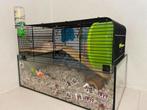 Hamsterkooi en benodigdheden, Dieren en Toebehoren, Kooi, Gebruikt, Minder dan 75 cm, Hamster