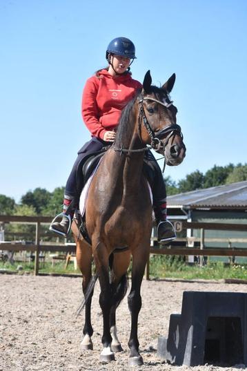 Superknappe 7 jarige ruin beschikbaar voor biedingen