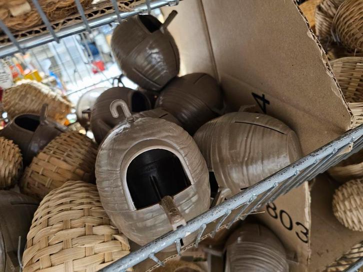 NIEUW Nest Exotische Vogels - Moldes Ave, Dieren en Toebehoren, Vogels | Toebehoren, Ophalen