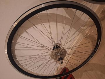 Coersfiets achterwiel ambrosio inclusief cassette. beschikbaar voor biedingen