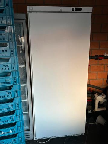 Diepvries, Elektronische apparatuur, Vriezers en Diepvrieskisten, Ophalen, Zo goed als nieuw