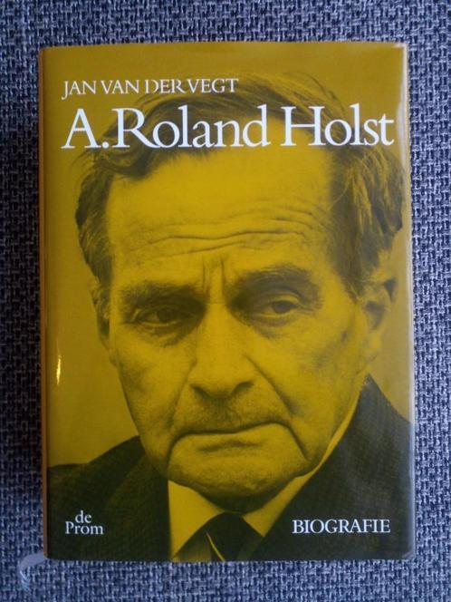 A. Roland Holst. Biografie - Jan van der Vegt, Livres, Biographies, Utilisé, Art et Culture, Enlèvement ou Envoi